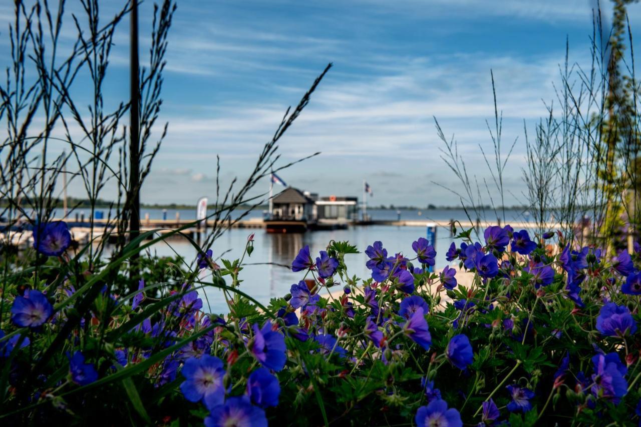 Welcome In - Houseboat 'Elysium' Met Eigen Aanlegsteiger Sneek - Offingawier Εξωτερικό φωτογραφία